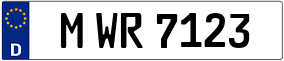 Truck License Plate